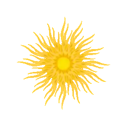 shine